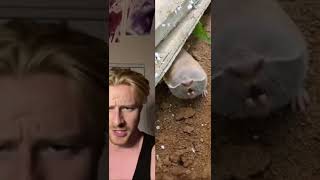 ITS THE UNDERMINER FROM THE INCREDIBLES!! ⛏👷‍♂️