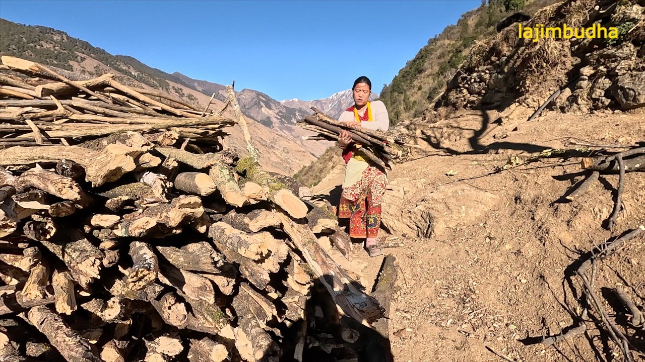 mountain survival skills in the remote place || lajimbudha ||