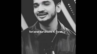 Teri Sirat Saaf Shishe Ki Tarah Mere Daman Mai Dhaag Hazaro Hain