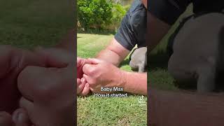 Baby Max On Day One. Love At First Sight.