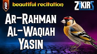 Surah Ar Rahman, Surah Al Waqiah, Surah Yasin | World's most beautiful recitation