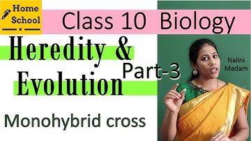 Heredity & Evolution class 10 Biology Part-3