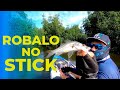 Robalos no stick!