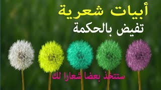 أبيات شعرية مشهورة