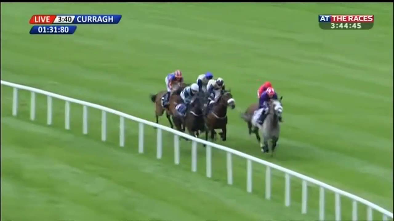 馬はどこまで限界を突き破れるのか フリントシャーｖｓファウンド 世界最高のシルバーコレクター決戦