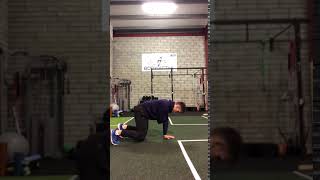 3 point bear position hold