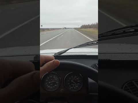 шеснарик тащит дамой