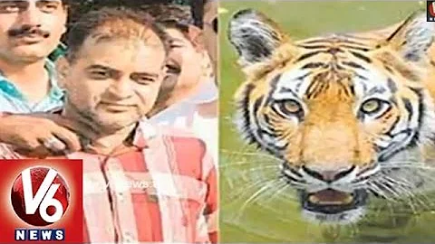 India's Biggest Wild Life Criminal Sansar Chand Di...