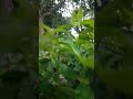 খুব ভালো লাগলো