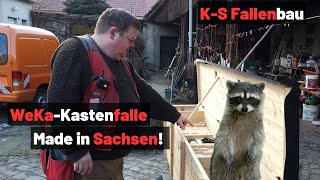 KASTENFALLE🦝bauen//Worauf ACHTEN?//📢Trapper-Talk//Jagd 2024//TrapperInfo