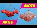 ¡COMO HACER ENORMES CRISTALES DE AZUCAR EN CUALQUIER OBJETO!