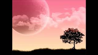 Status Whatsapp - rapuh