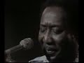 Muddy Waters - Mannish Boy