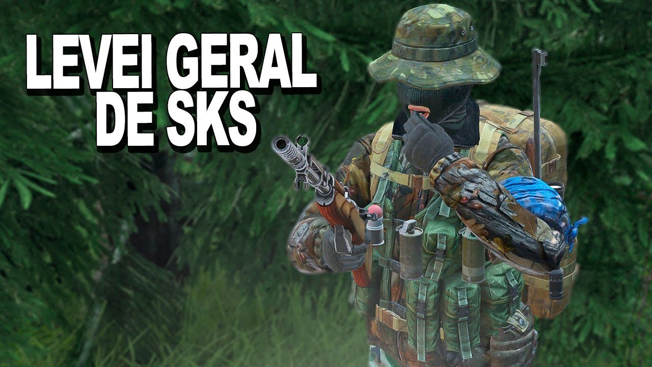 LEVEI GERAL DE SKS - DayZ