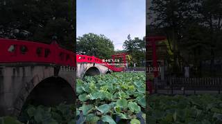 【水音ASMR】心洗われる神社の手水舎⛩️ ちょろちょろ流れる癒しの音｜熊本県人吉市