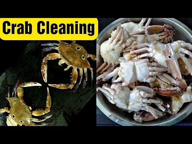 How to clean crabs | Cut and clean crabs | Nandu cleaning | Fresh crab cleaning (English) | நண்டு | Food Tamil - Samayal & Vlogs