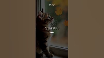 القران الكريم راحة نفسية تلاوة خاشعة حالات واتساب قران كريم #حالات_واتس_اب #اكسبلور #القرآن_الكريم