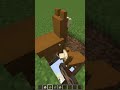 Do you regonize this minecraft song  shorts