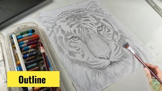 Tiger drawing tutorial 🤩🎨🖌️ |how to draw tiger drawing | suresh k arts tiger drawing with charcoal 