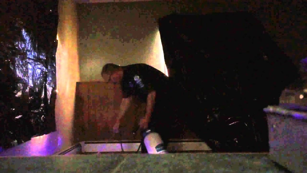 2014 Fairbanks (Fox area) pet carpet cleaning using UV/blacklight to