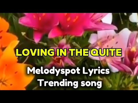 LOVING IN THE QUITE  - MELODYSPOT LYRICS 