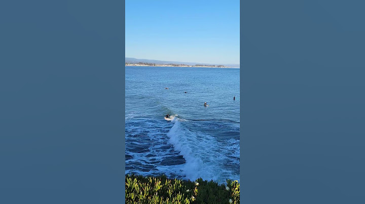 Steamer Lane Santa Cruz #santacruz #surf #shorts