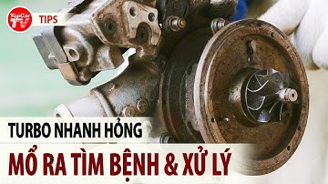 Hiểu rõ về những căn bệnh của động cơ turbo để dùng xe đúng cách | TIPCAR TV