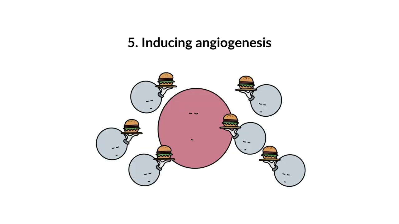 10 Hallmarks of cancer | Explained visually and concisely