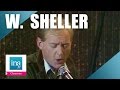 William Sheller, le best of (compilation) | Archive INA