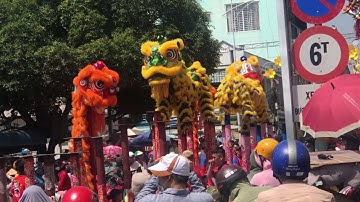 Múa lân sư rồng (Múa cù) Ngày rầm tháng giêng tại Lái Thiêu Bình Dương