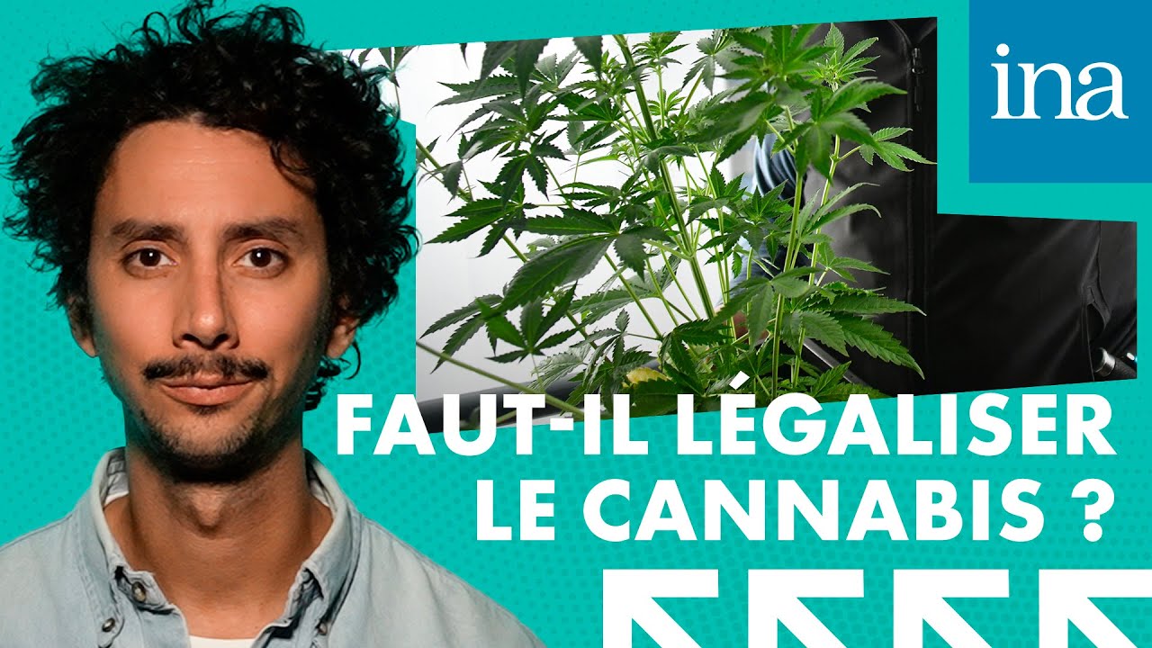 Faut-il légaliser le cannabis ? Retour sur un débat qui divise la France depuis des années