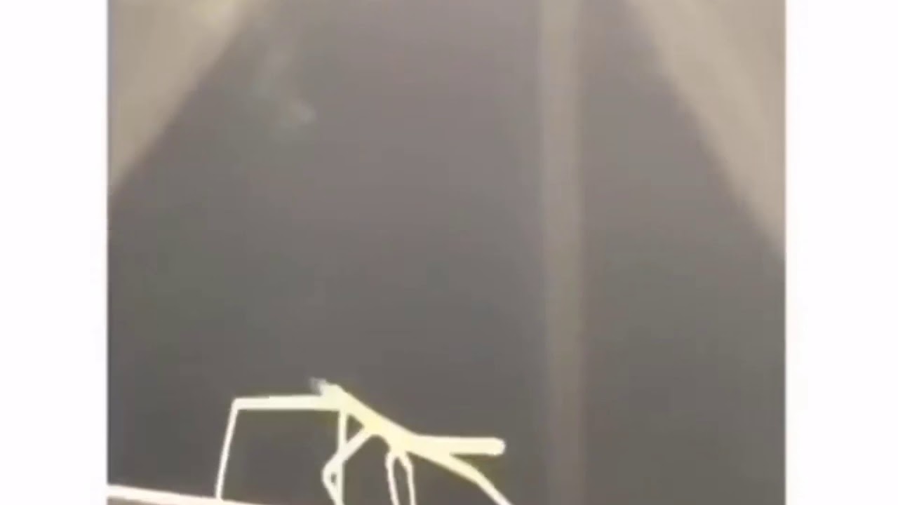 Get Stick Bugged Lol Youtube 