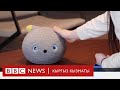 Click: Мышык сымал робот - BBC Kyrgyz