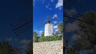 ⚙️ Molí Fariner de Puig d’en Valls: Historia Viva de Ibiza 🌾#shorts #exploraibiza #turismocultural