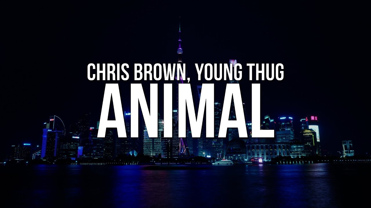 Chris Brown & Young Thug - Animal (Lyrics)