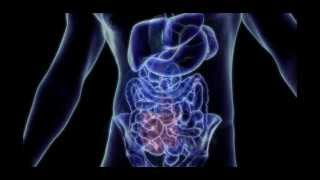 Nauli Yoga Tutorial - Come Aumentare Il Fuoco Gastrico E Rimuovere Le Tossine - Maggio Addominale