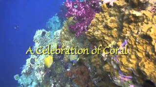 Preview:  A CELEBRATION OF CORAL