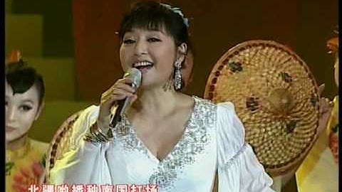 殷秀梅 - On the Field of Hope 在希望的田野上 - 天天要聞