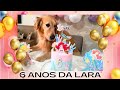 DECORAÇÃO ANIVERSARIO PEQUENA SEREIA - ARIEL - ANIVERSÁRIO PET