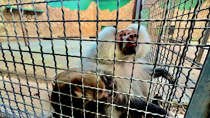 У нас у всех душа ушла в пятки когда Люся устроила истерику вися вниз головой, а Елисей ПСИХАНУЛ!!!
