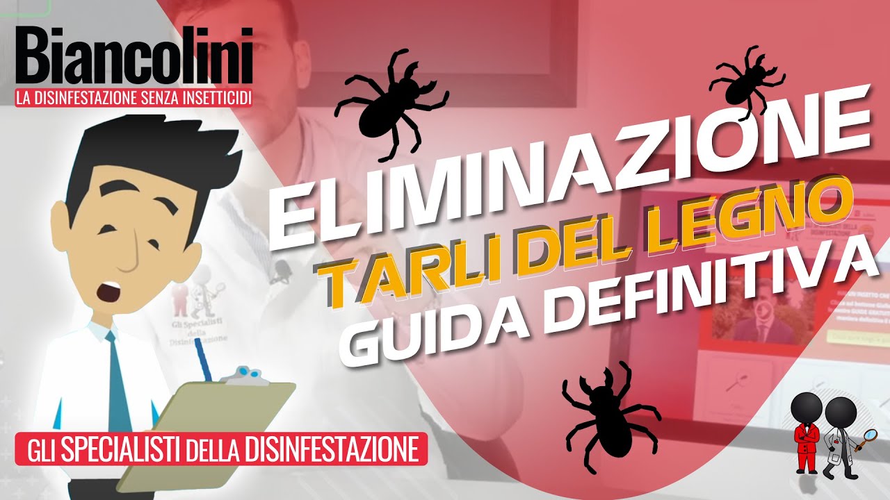Come eliminare i tarli del legno: la guida definitiva youtube Come eliminare le tarme dai mobili