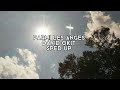 parmi les anges -david okit (speed up)