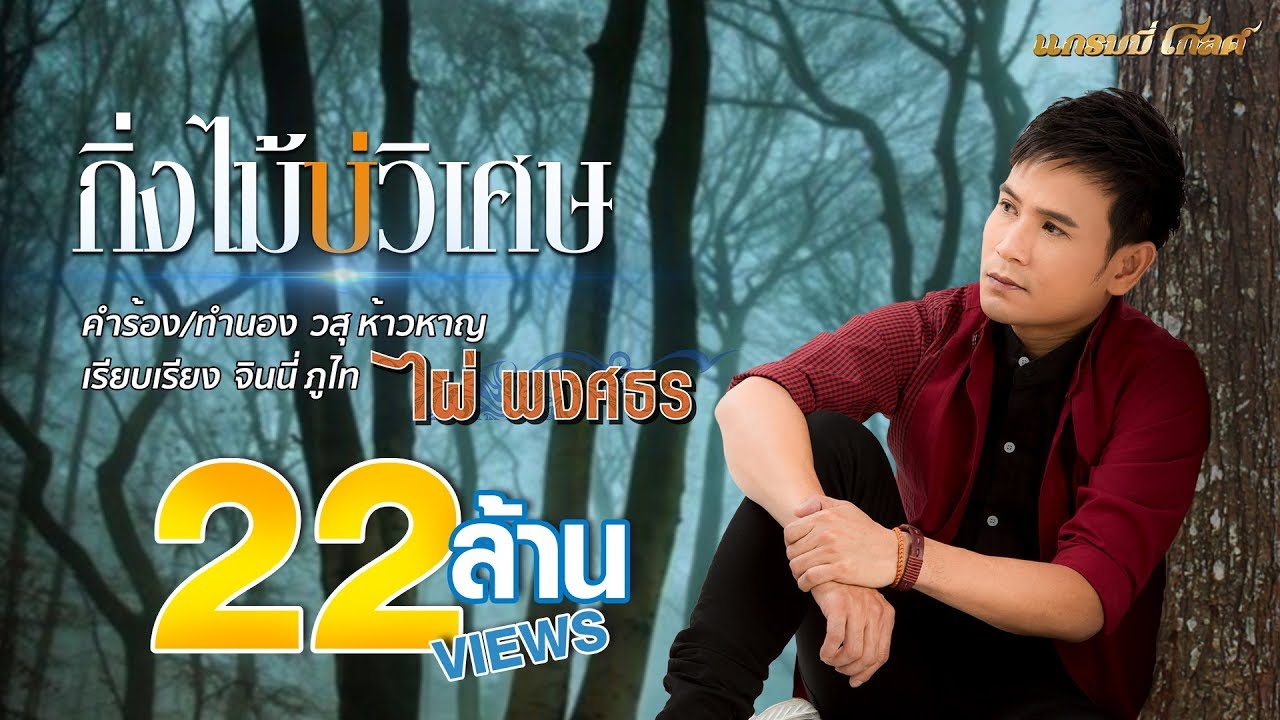 ปกเพลง กิ่งไม้บ่วิเศษ — PHAI PHONGSATHON