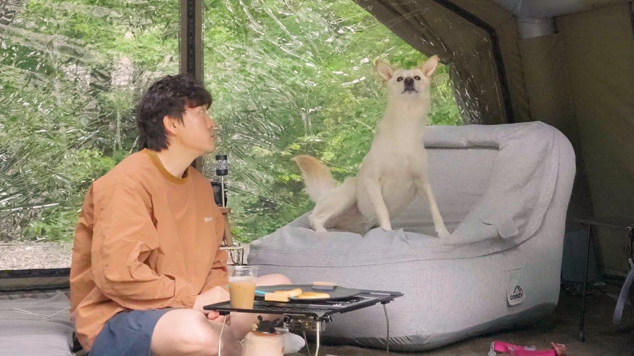 Идеальный весенний кемпинг с моей собакой 🌿 Мирный день в лесу