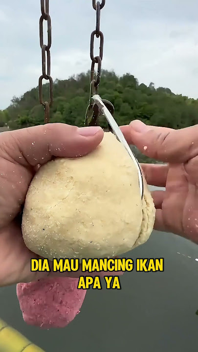 Mau Mancing Ikan Apa Ni Bolo‼️😱 #fishing #viral #trendjng #fyp