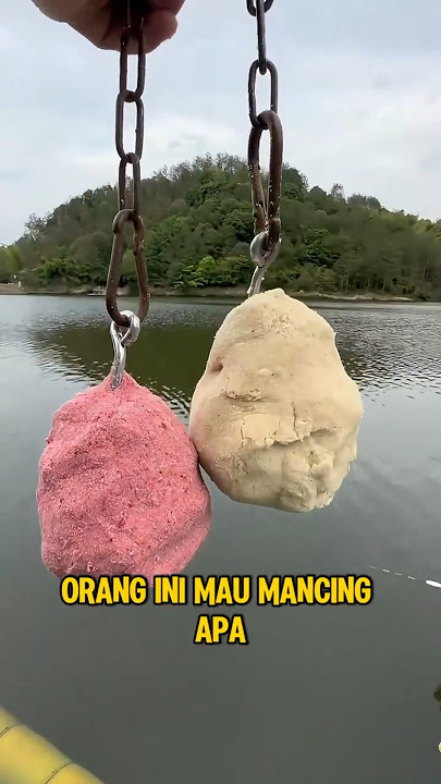 Mau Mancing Ikan Apa Ni Bolo‼️😱 #fishing #viral #trendjng #fyp
