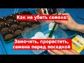 Как замочить семена, прорастить и не убить их