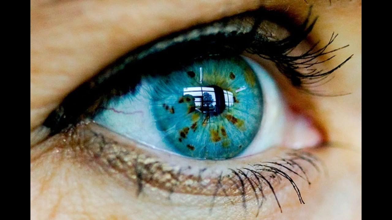 Разноцветные глаза. Фиолетовые глаза. Глаза не изменишь. Карие глаза хамелеоны. Глаза не изменишь.