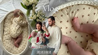 : VLOG |      ,   