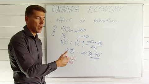 INSCYD the Numbers: Running Economy Part 2